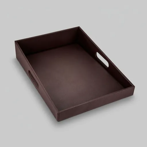 Pu Leather Shoe Box Tray — LTH-1085