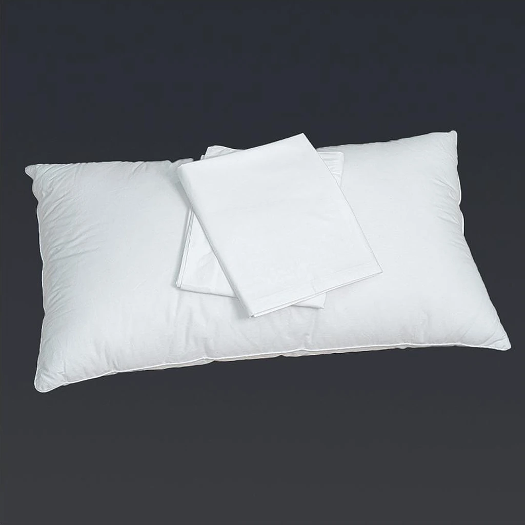 Pillow Core with Piping — PLI-1028 (image 2)